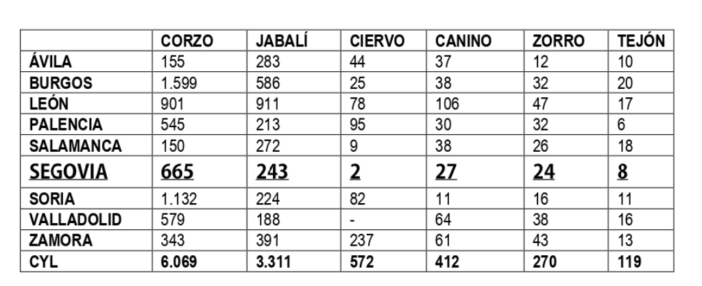 cuadro web cuadro web