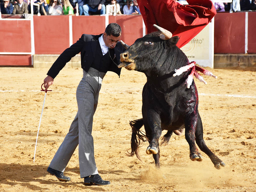 Pase de pecho de Paco Ureña. / A.M.