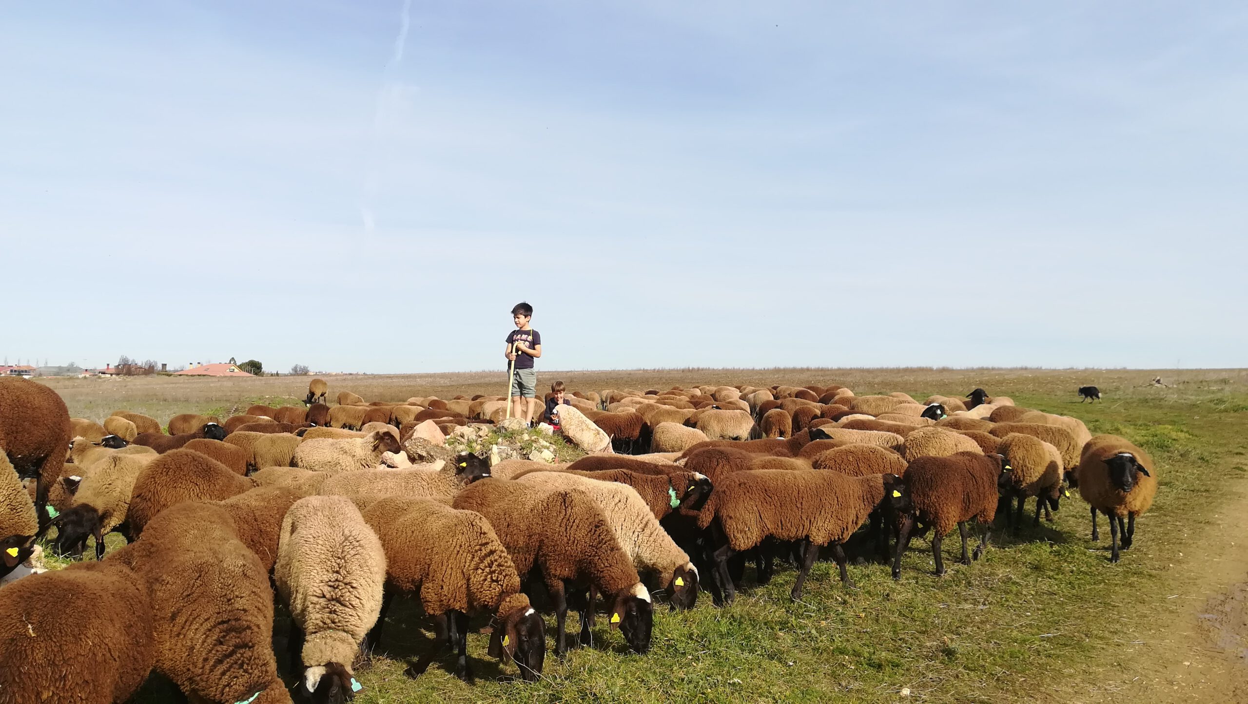 06MAX202404647281 scaled