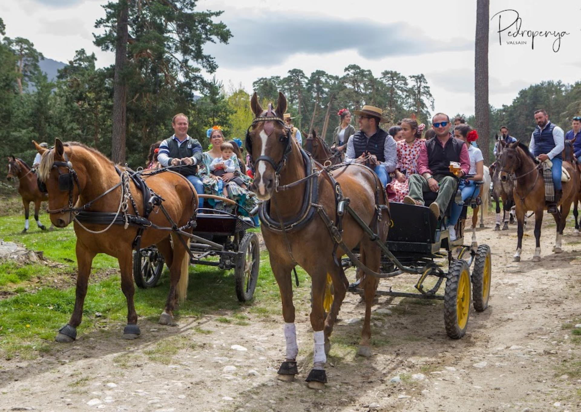 Muchos hacen la romería de la Virgen del Rosario en carros tirados por caballos.