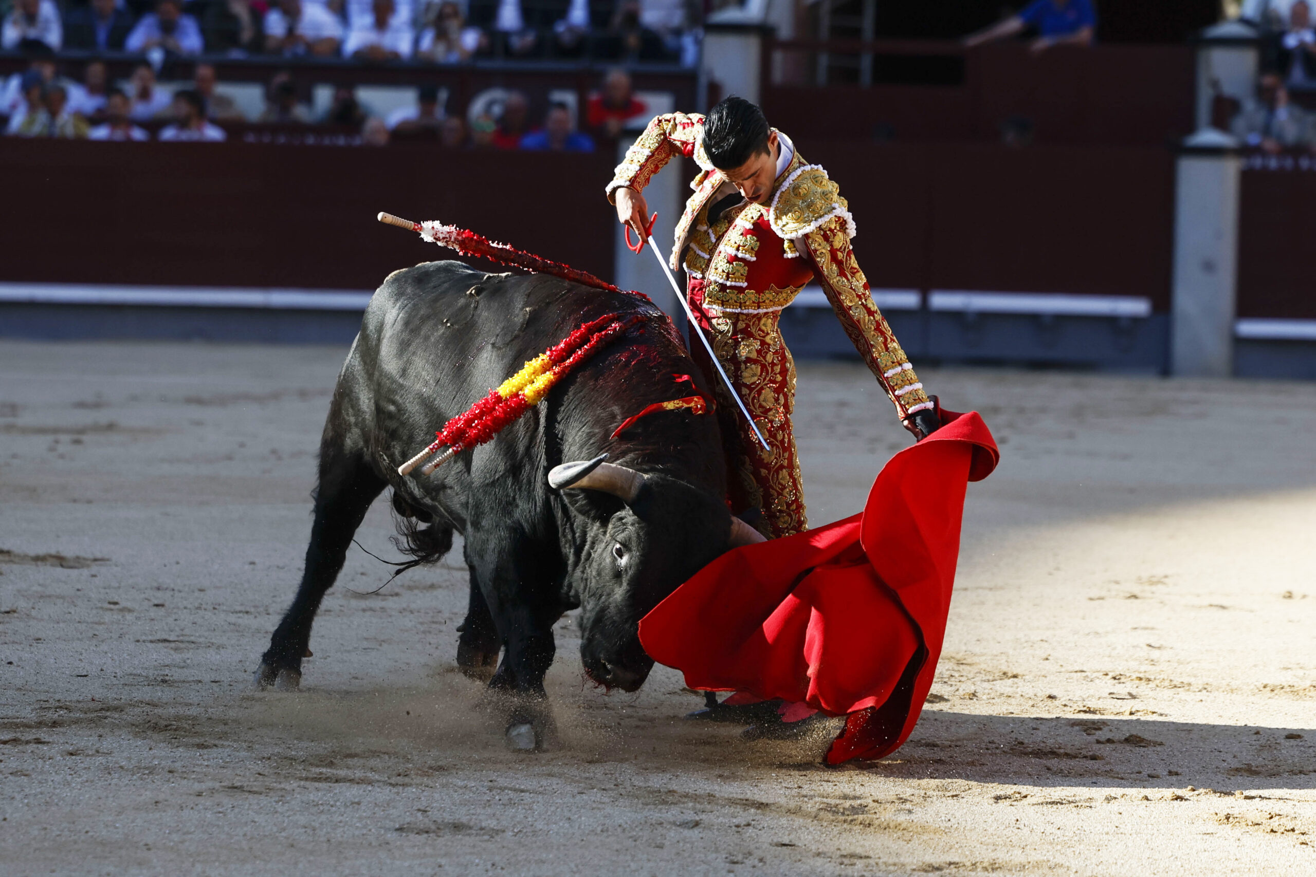 Detalle por abajo de Alejandro Talavante, al primer toro de Puerto de San Lorenzo. / EFE - JUANJO MARTÍN