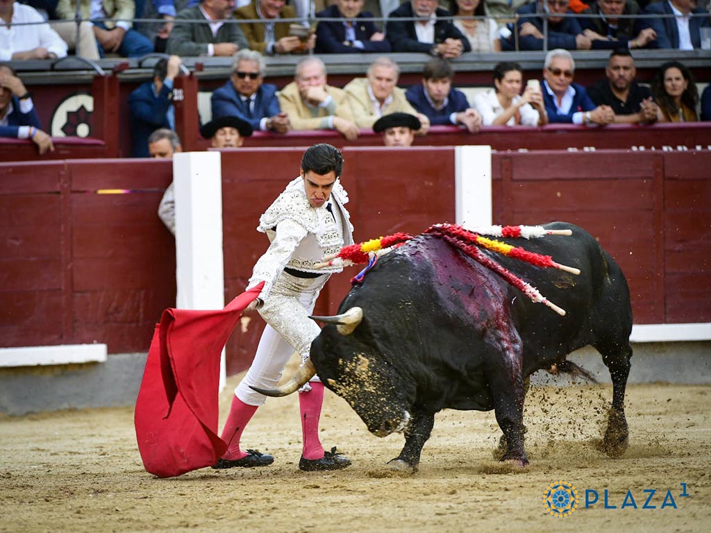 Angel Tellez Angel Tellez