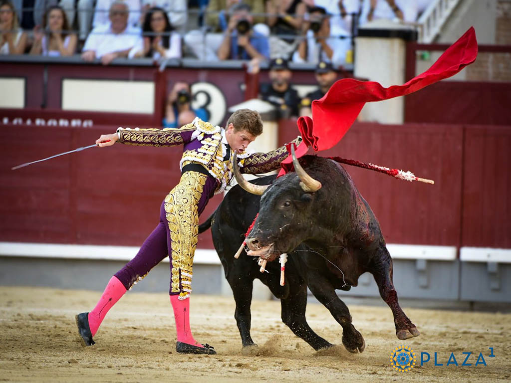 Pase de pecho de Borja Jiménez al toro 'Experto', de Santiago Domecq. / PLAZA 1