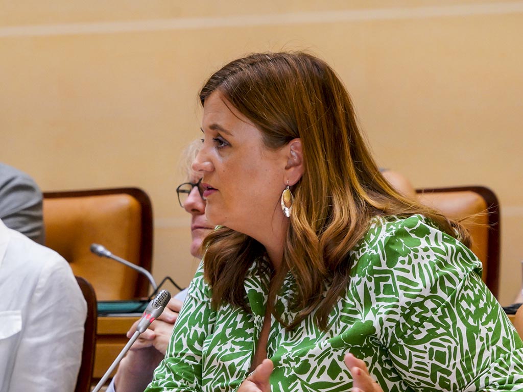 La portavoz socialista Clara Martín. / MIGUEL ÁNGEL FERNÁNDEZ La portavoz socialista Clara Martín. / MIGUEL ÁNGEL FERNÁNDEZ