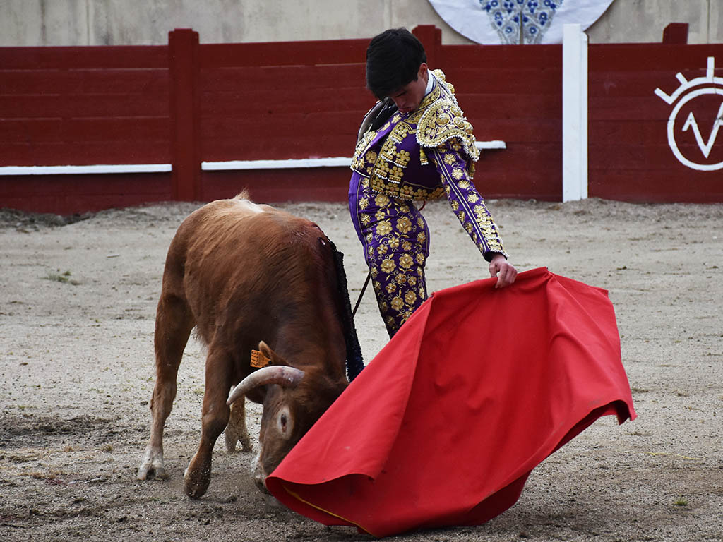 Natural del novillero de Palazuelos de Eresma, Daniel Hernández. / A.M.