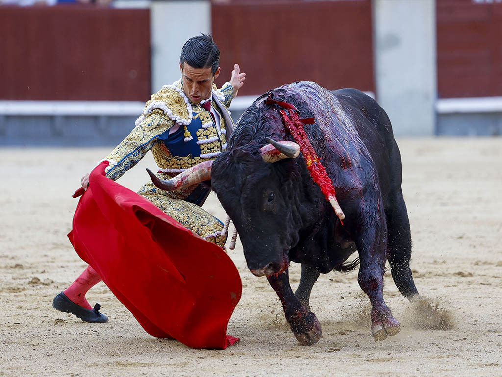 El gaditano David Galván torea de forma genuflexa al cuarto astado de El Torero. / EFE - MARISCAL El gaditano David Galván torea de forma genuflexa al cuarto astado de El Torero. / EFE - MARISCAL