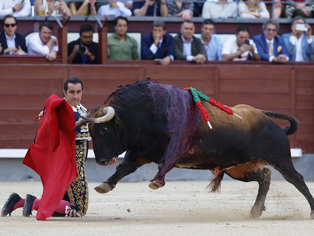 Feria taurina de San Isidro