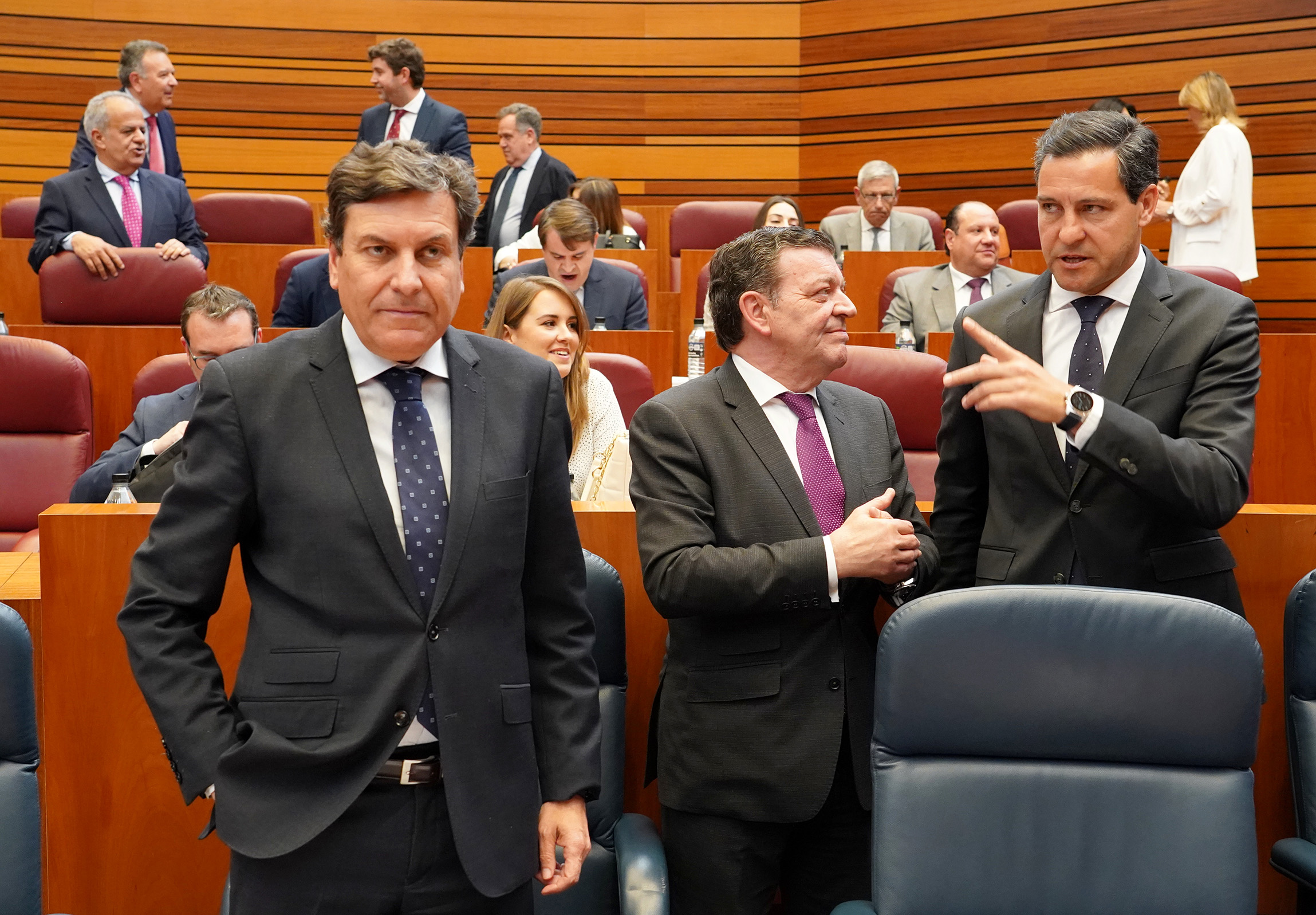 Pleno de las Cortes de Castilla y León