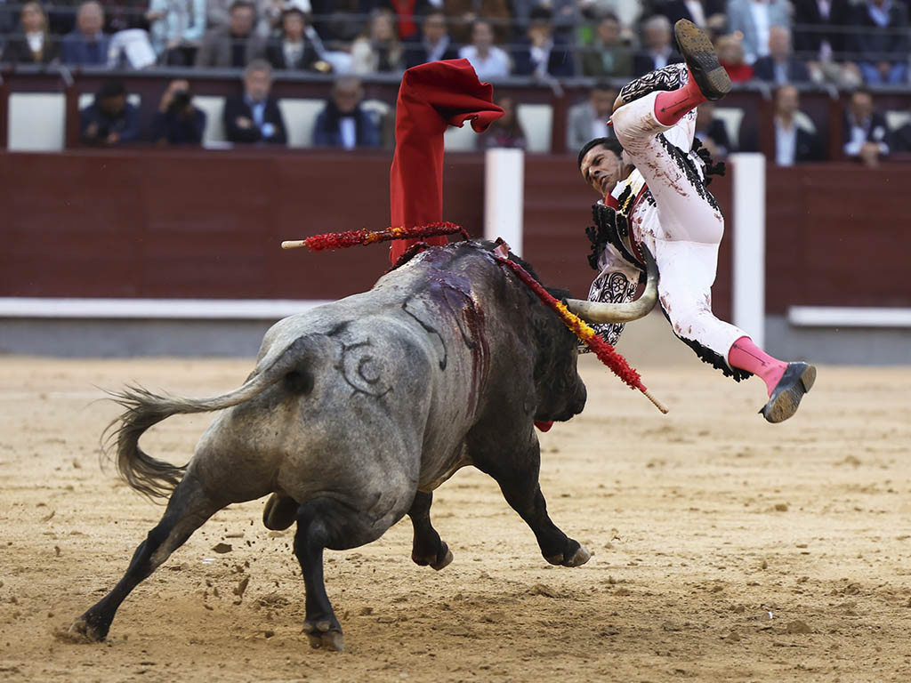 Feria de San Isidro Feria de San Isidro