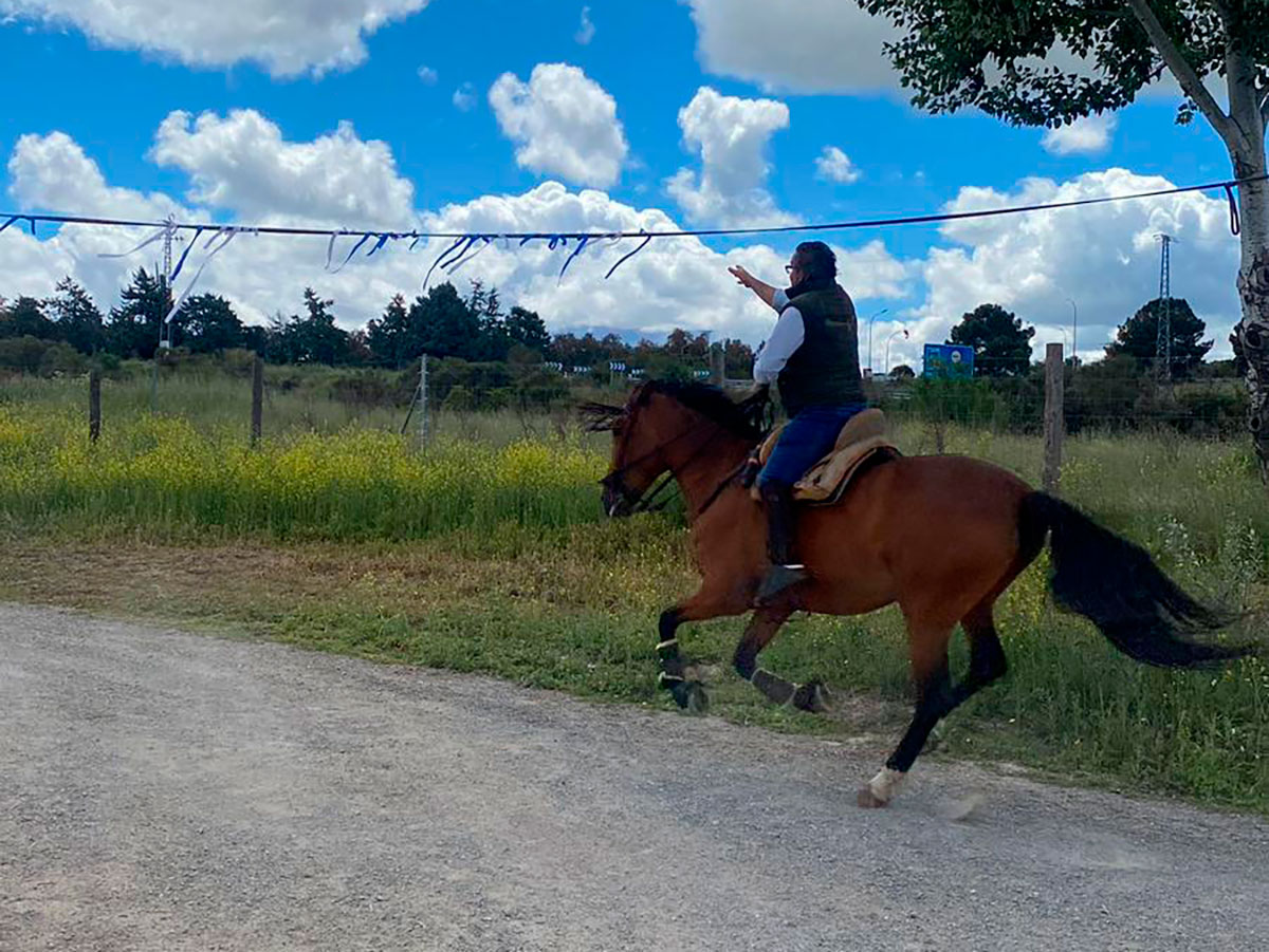 Un Fin de Semana de Tradición y Espectáculo: la Feria del Ganado de Villacastín 1 Feria de Ganado de Villacastín