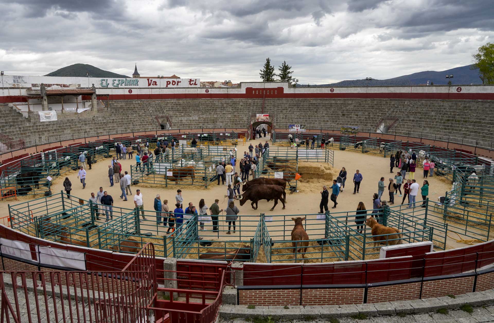 Feria del Ganado en El Espinar