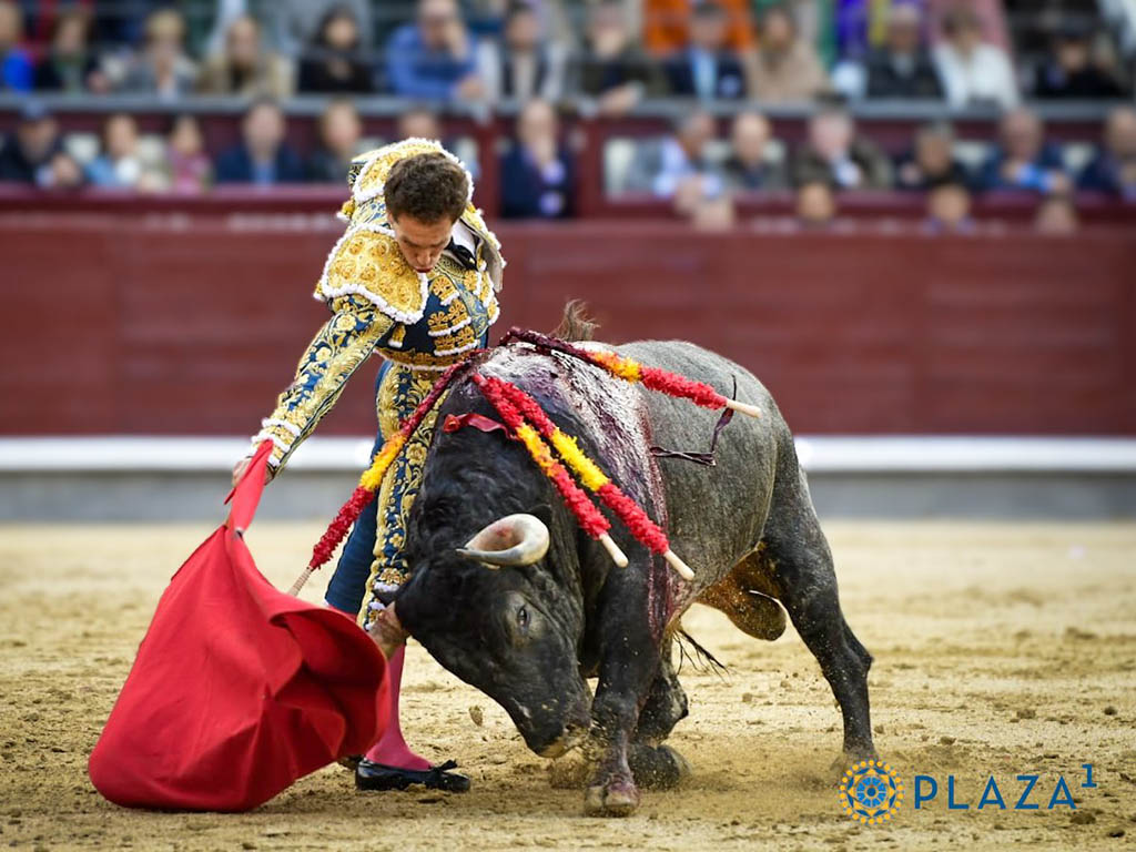 Gines Marin Gines Marin