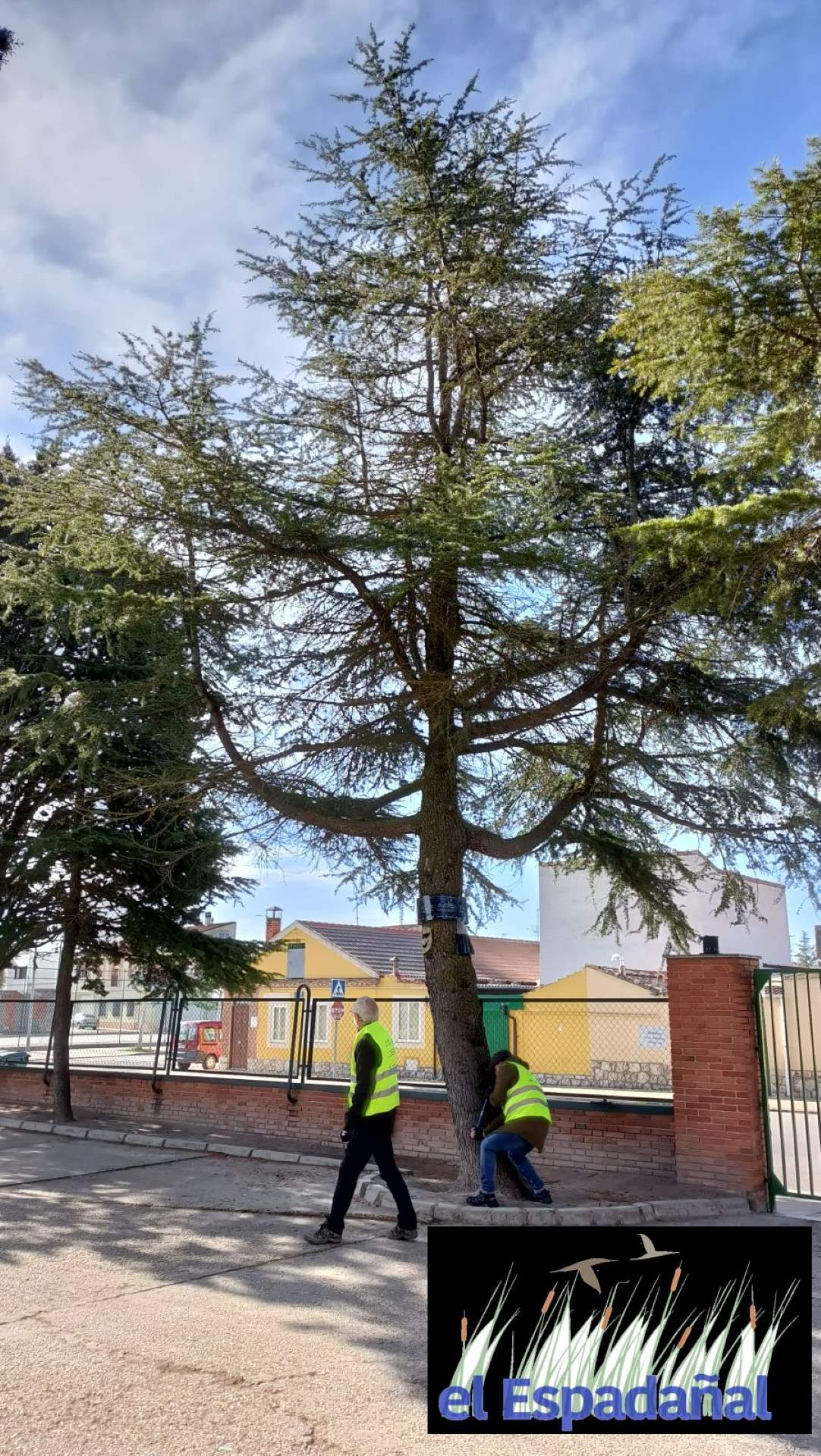 Miembros de la Asociación El Espadañal realizando el inventariado de los árboles.