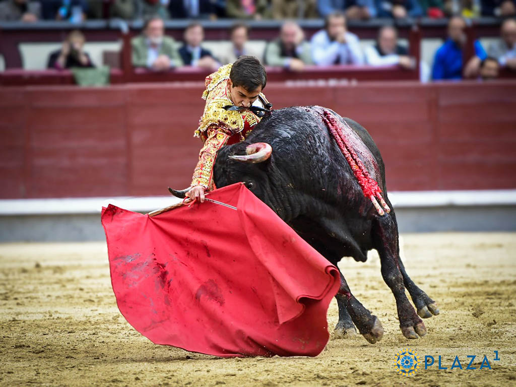Ismael Martín, con el segundo novillo de Fuente Ymbro. / PLAZA 1
