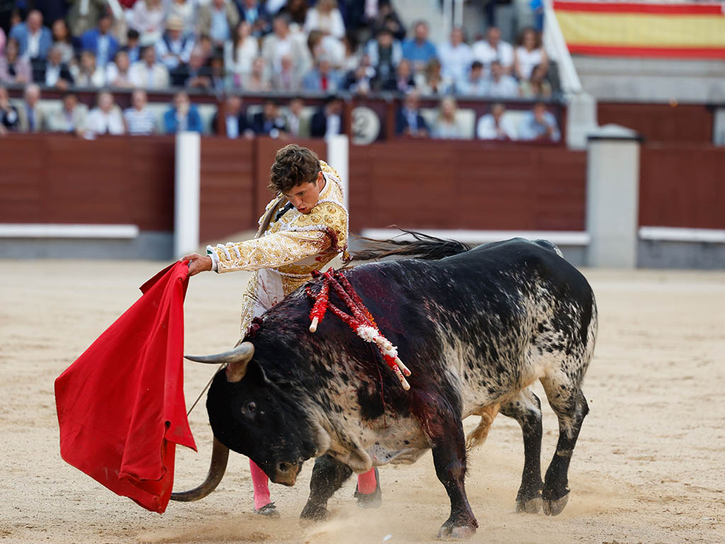 Decimotercer festejo de la Feria de San Isidro Decimotercer festejo de la Feria de San Isidro