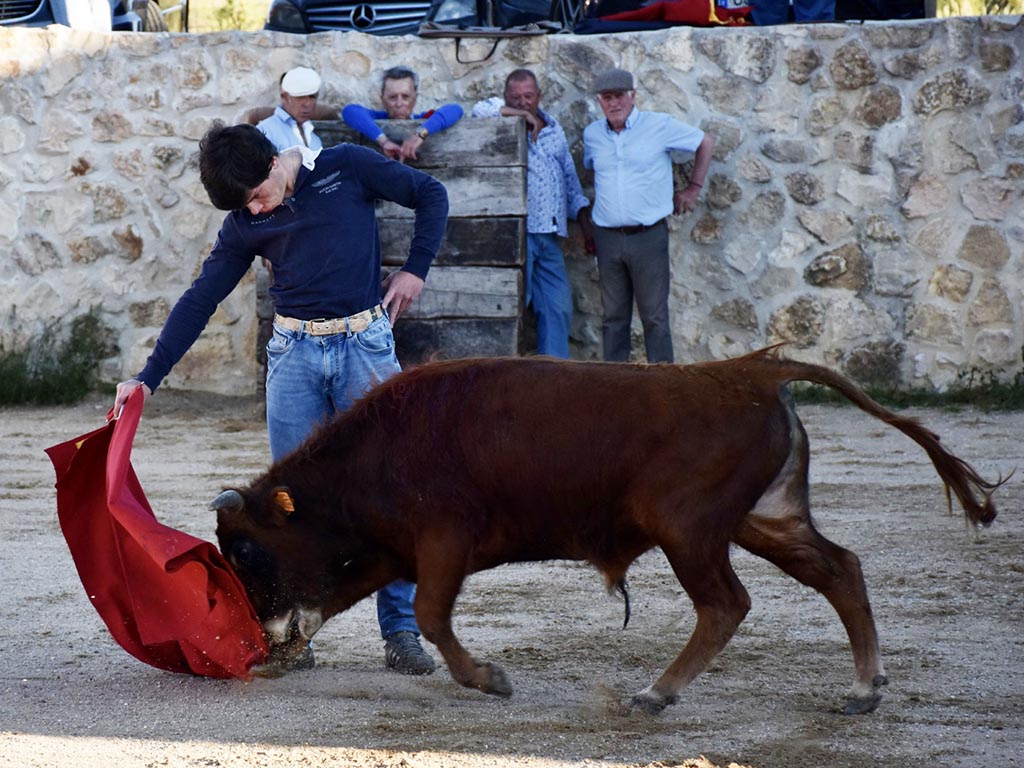 Ortega Cano y Emilio de Frutos siguen la proyección del joven novillero Jorge Oliva. / A.M.