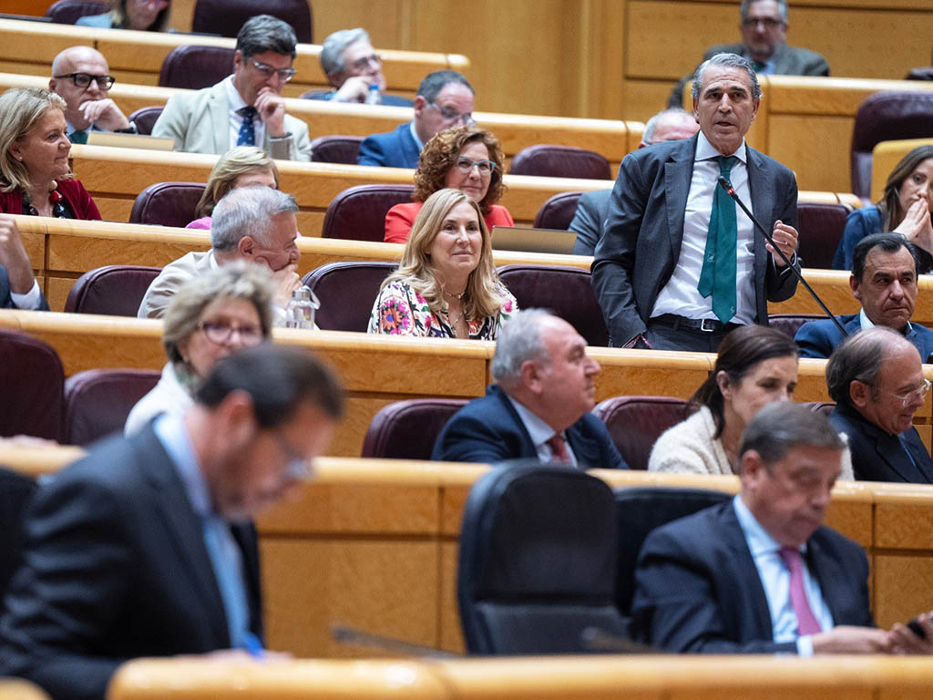 Sanz Vitorio se dirige al ministro Puente en el Senado. / EL ADELANTADO