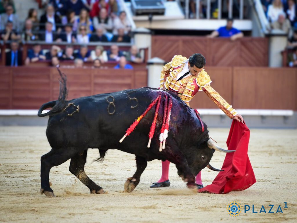 Juan Ortega Juan Ortega