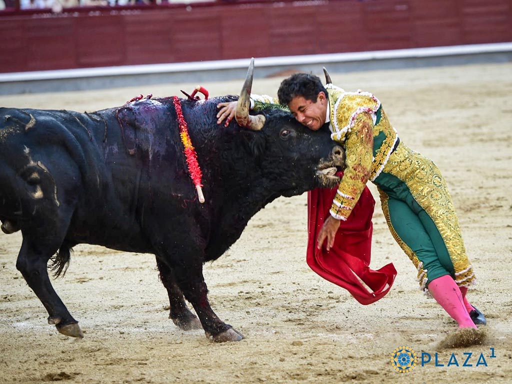 El mexicano Leo Valadez resulta cogido por el tercer toro de la tarde. / PLAZA 1