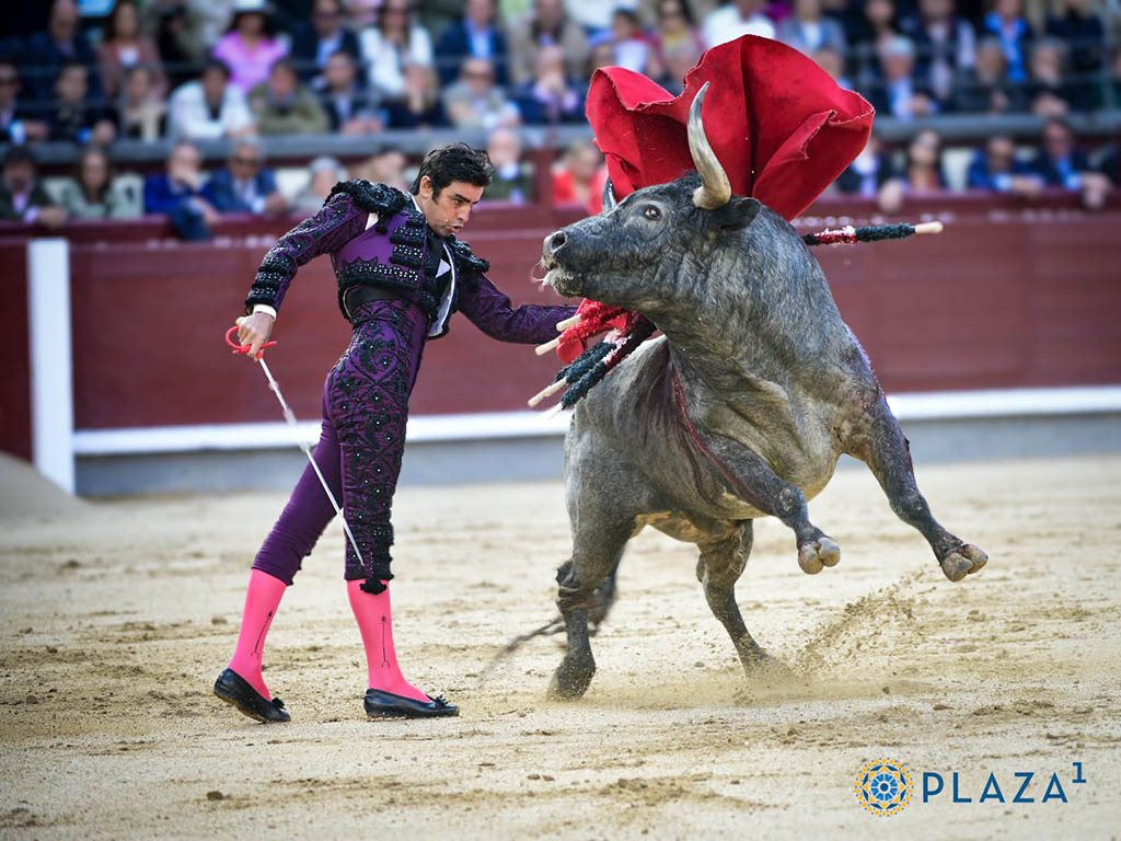 Miguel Angel Perera Miguel Angel Perera