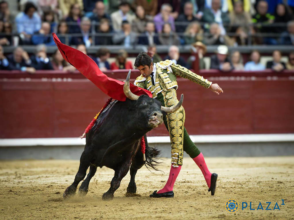 Pase de pecho de Miguel Ángel Perera. / PLAZA 1