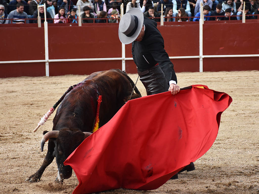 Detalle por bajo de Finito de Córdoba. / A.M. Detalle por bajo de Finito de Córdoba. / A.M.