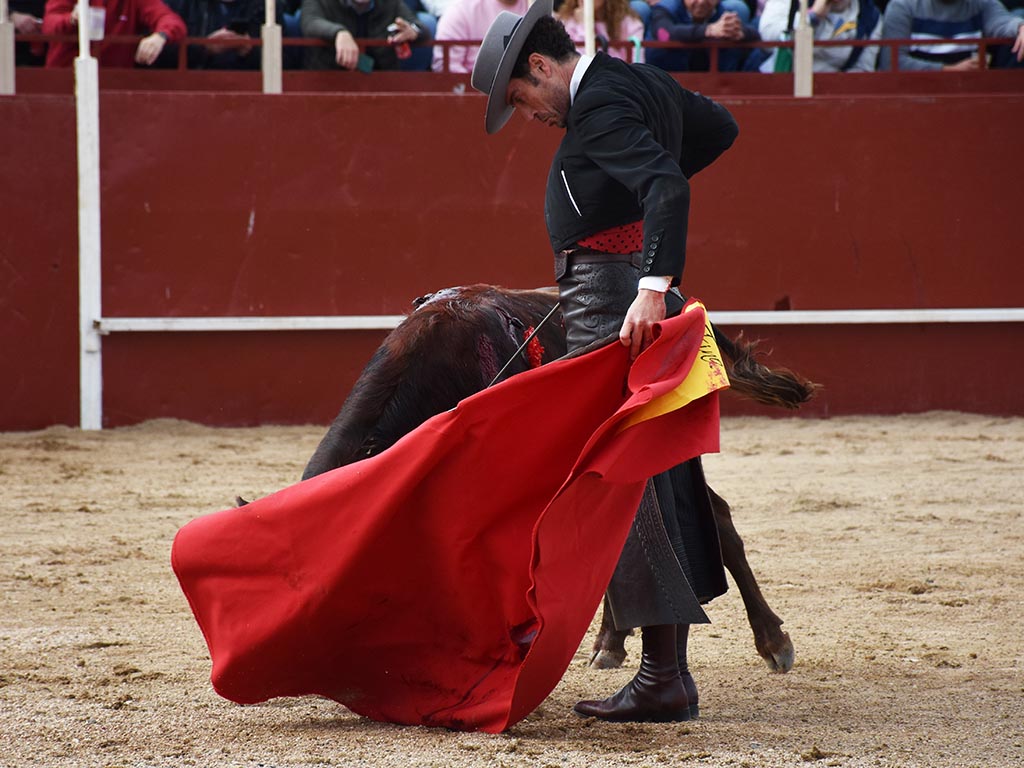 Toreo al natural de Finito de Córdoba. / A.M. Toreo al natural de Finito de Córdoba. / A.M.