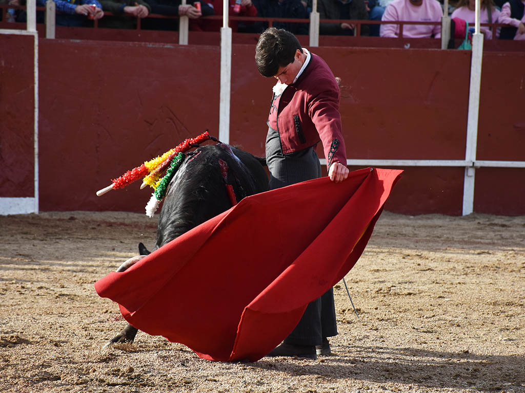 Templado natural del novillero Jorge Oliva. / A.M. Templado natural del novillero Jorge Oliva. / A.M.