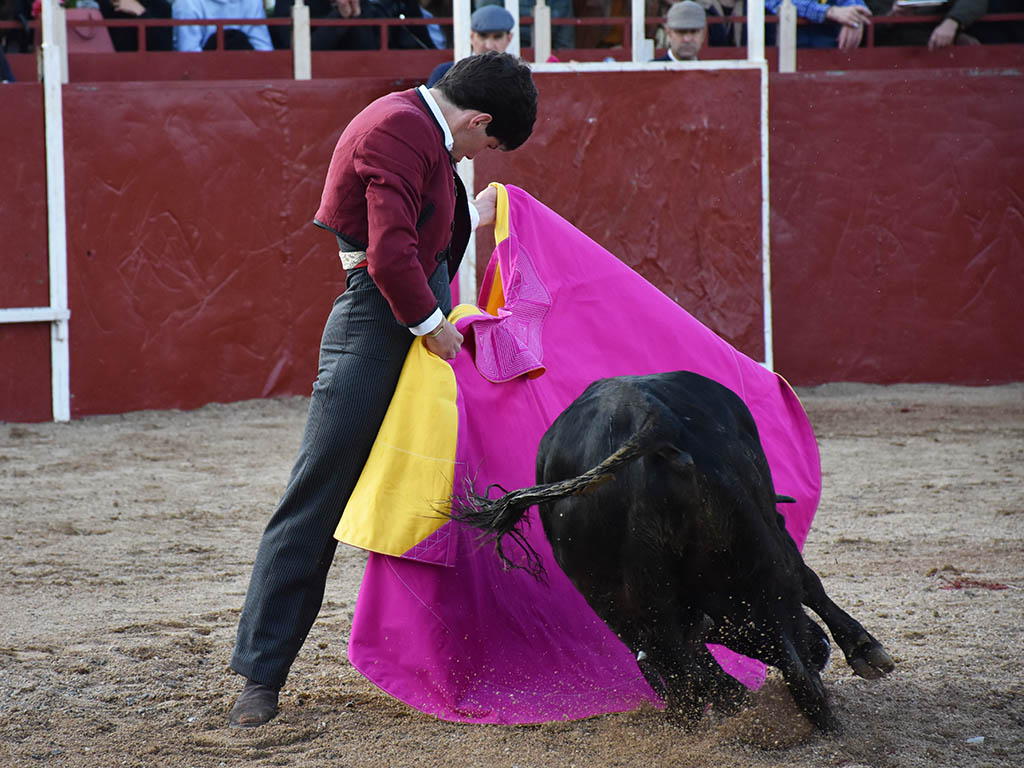 Verónica de Jorge Oliva. / A.M. Verónica de Jorge Oliva. / A.M.