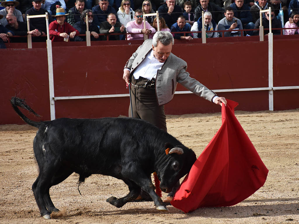 Toreo largo de Ortega Cano a un ejemplar de la ganadería de Cayetano de Frutos. / A.M. Toreo largo de Ortega Cano a un ejemplar de la ganadería de Cayetano de Frutos. / A.M.