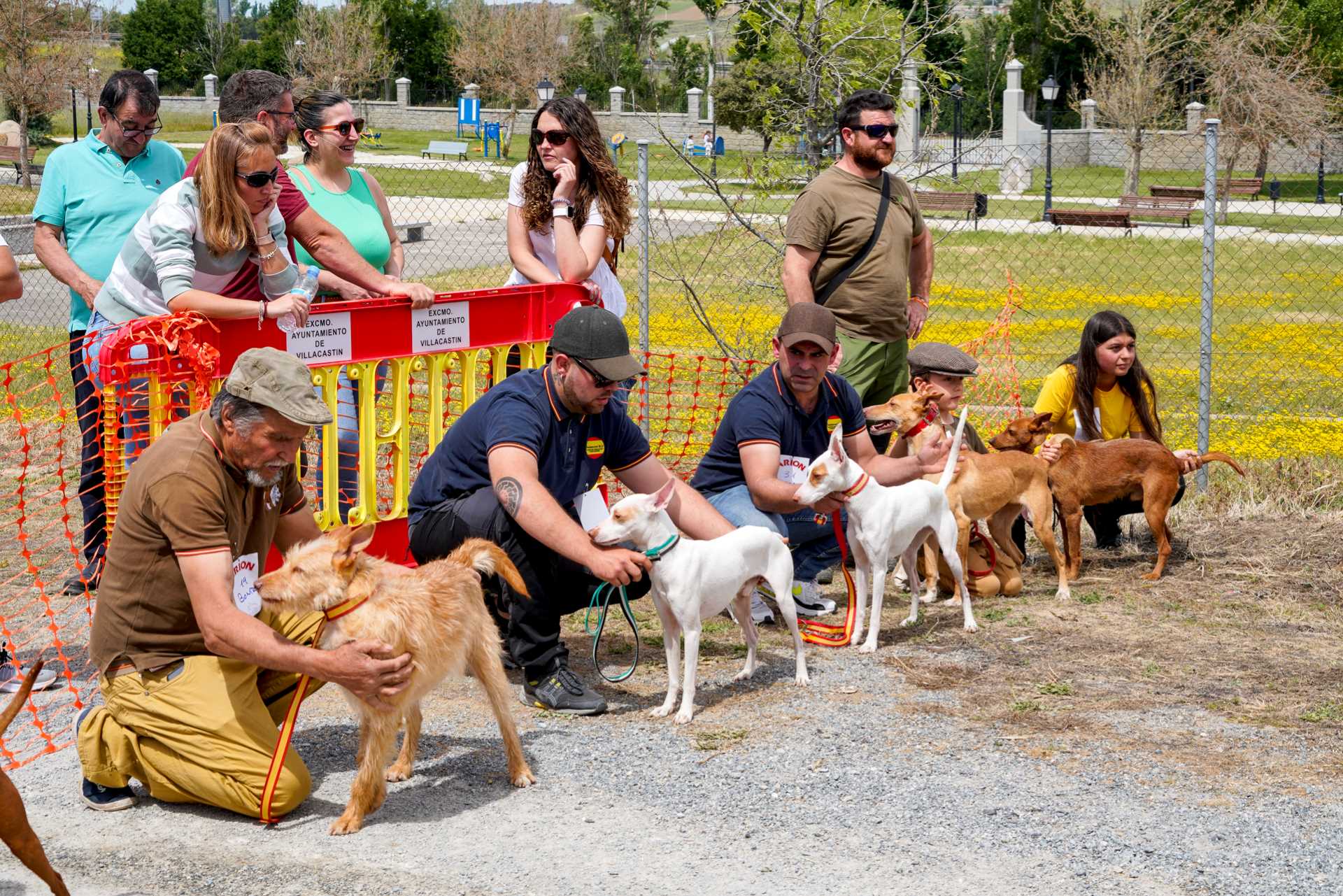 MIGUEL ÁNGEL FERNÁNDEZ