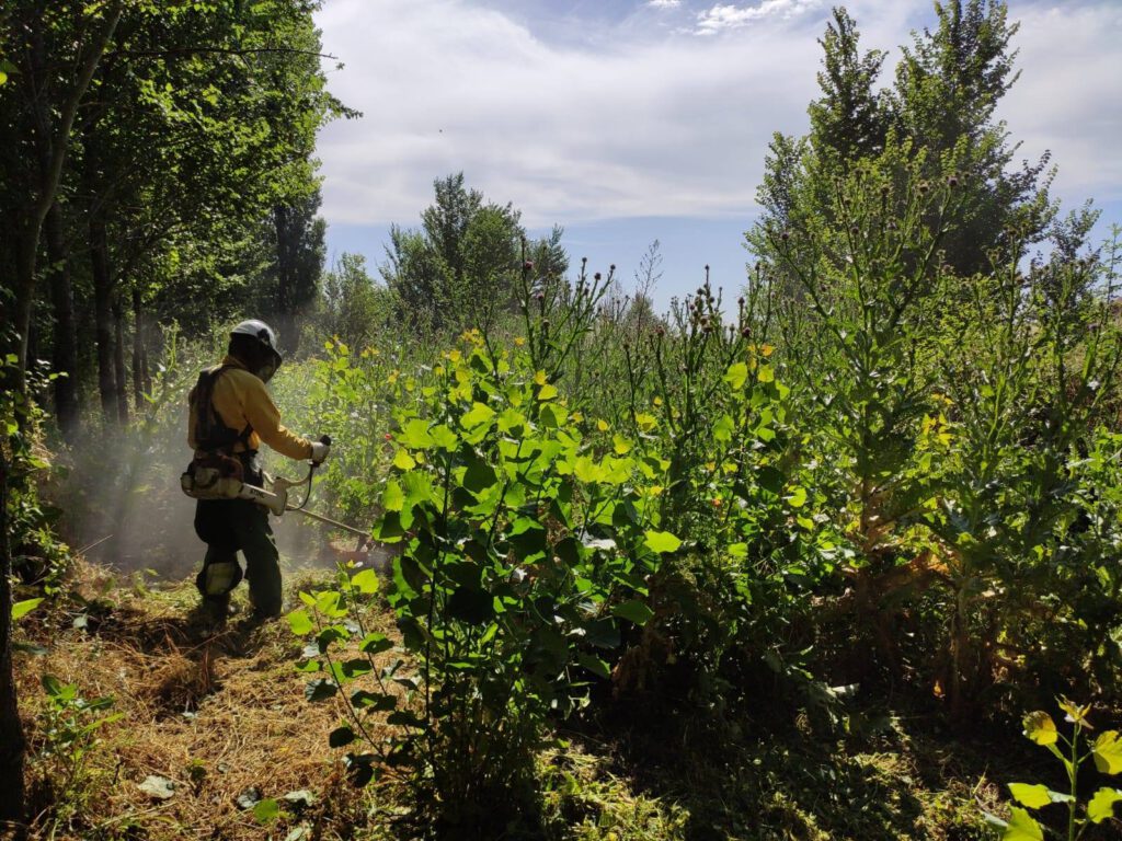 La preservación de los sistemas forestales, una de los principales prioridades del PDR.
