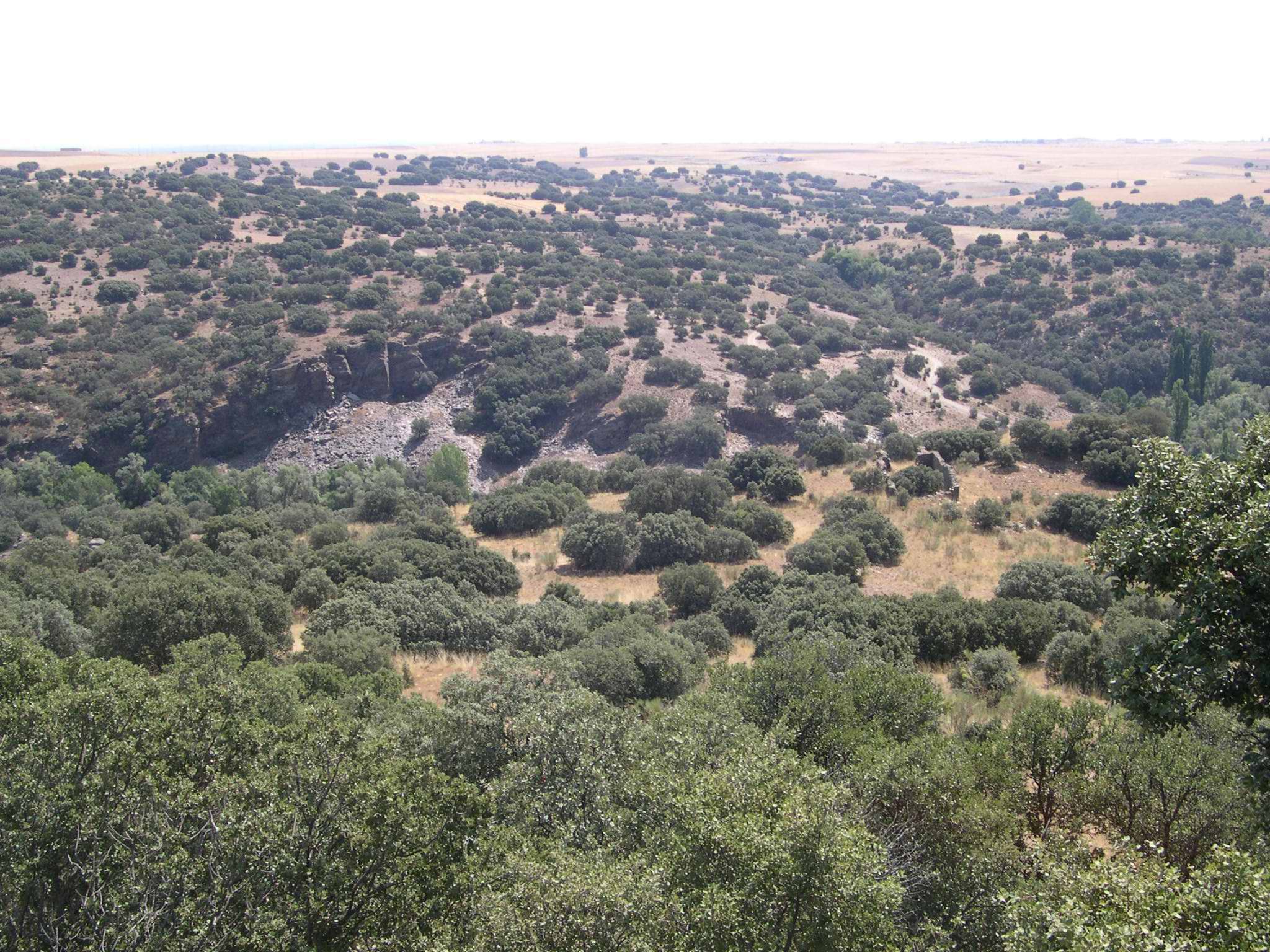 Recinto amurallado del Cerro del Castillo de Bernardos / E.A.