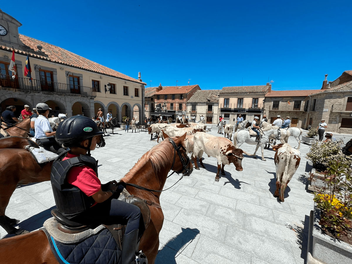 Caballistas y bueyes en la Plaza Mayor de Villacastín
