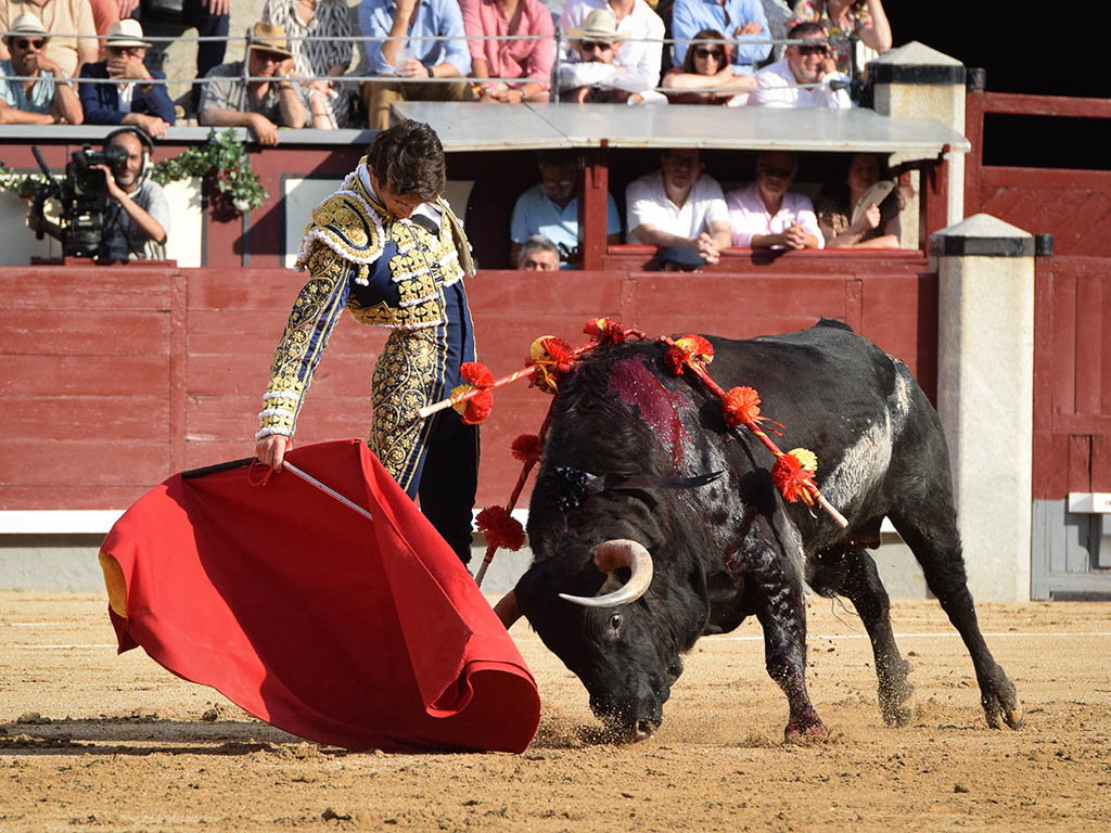 Toreo templado de Castella, durante un festejo de Beneficencia en Madrid./ LAURE CRESPY - PRENSA SEBASTIÁN CASTELLA