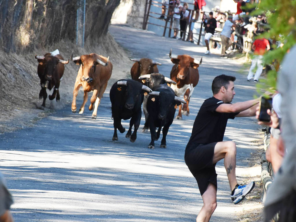 Encierros de Sepúlveda. / A.M.