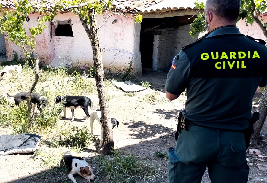 Cierran en Villalube (Zamora) una falsa protectora donde se maltrataba y descuidaba a los animales