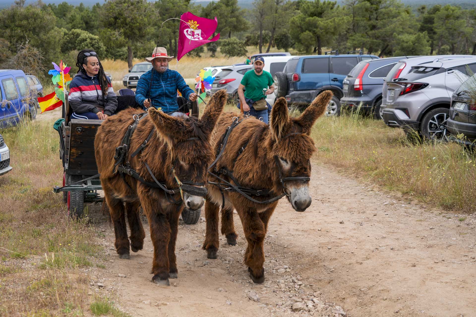 IV Romería Castellana a San Cebrián