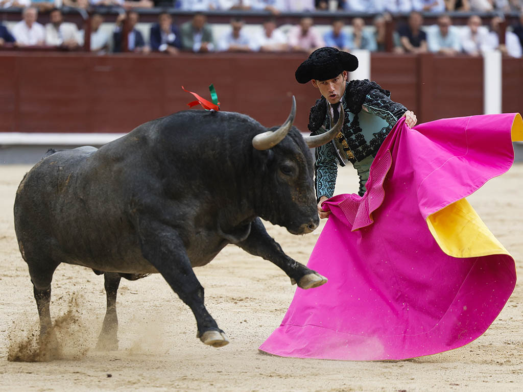 José Garrido, con el tercer toro de Adolfo Martín. / EFE - ZIPI José Garrido, con el tercer toro de Adolfo Martín. / EFE - ZIPI