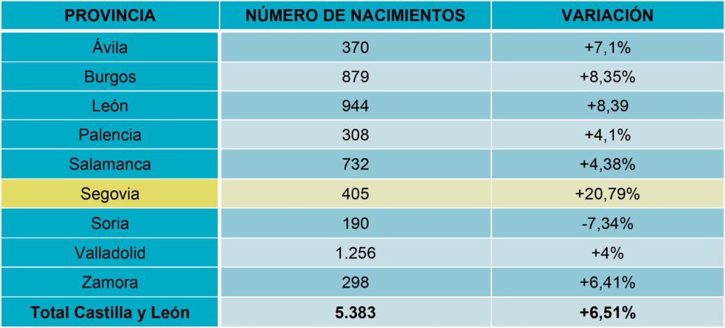 Nacimientos entre enero y mayo del año 2024 en Castilla y León. (FUENTE: INE)