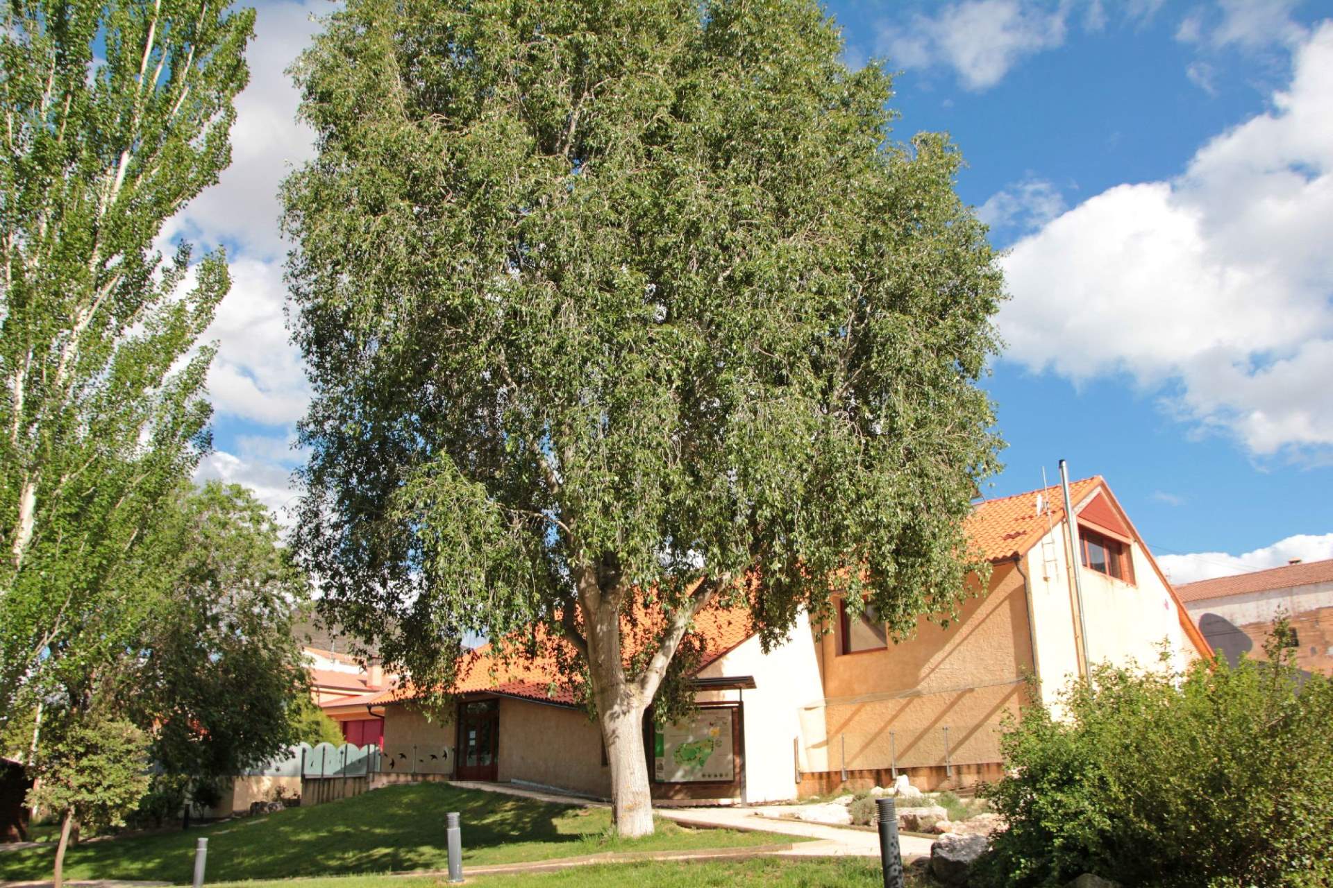 Casa del Parque ‘Hoces del Río Riaza’ en Montejo de la Vega de la Serrezuela.