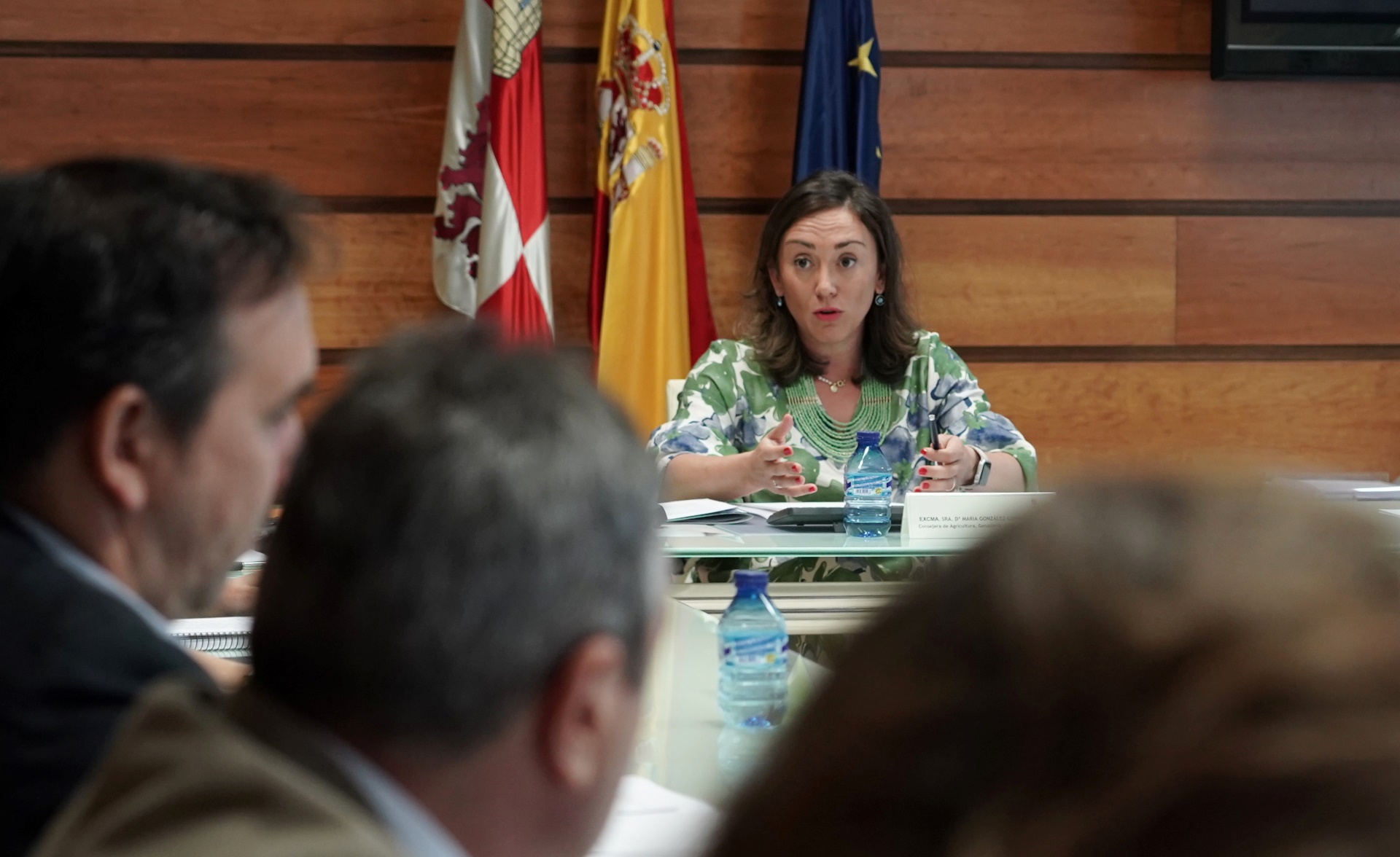Reunión de María González Corral con las OPAS (FOTO: RUBÉN CACHO / ICAL).