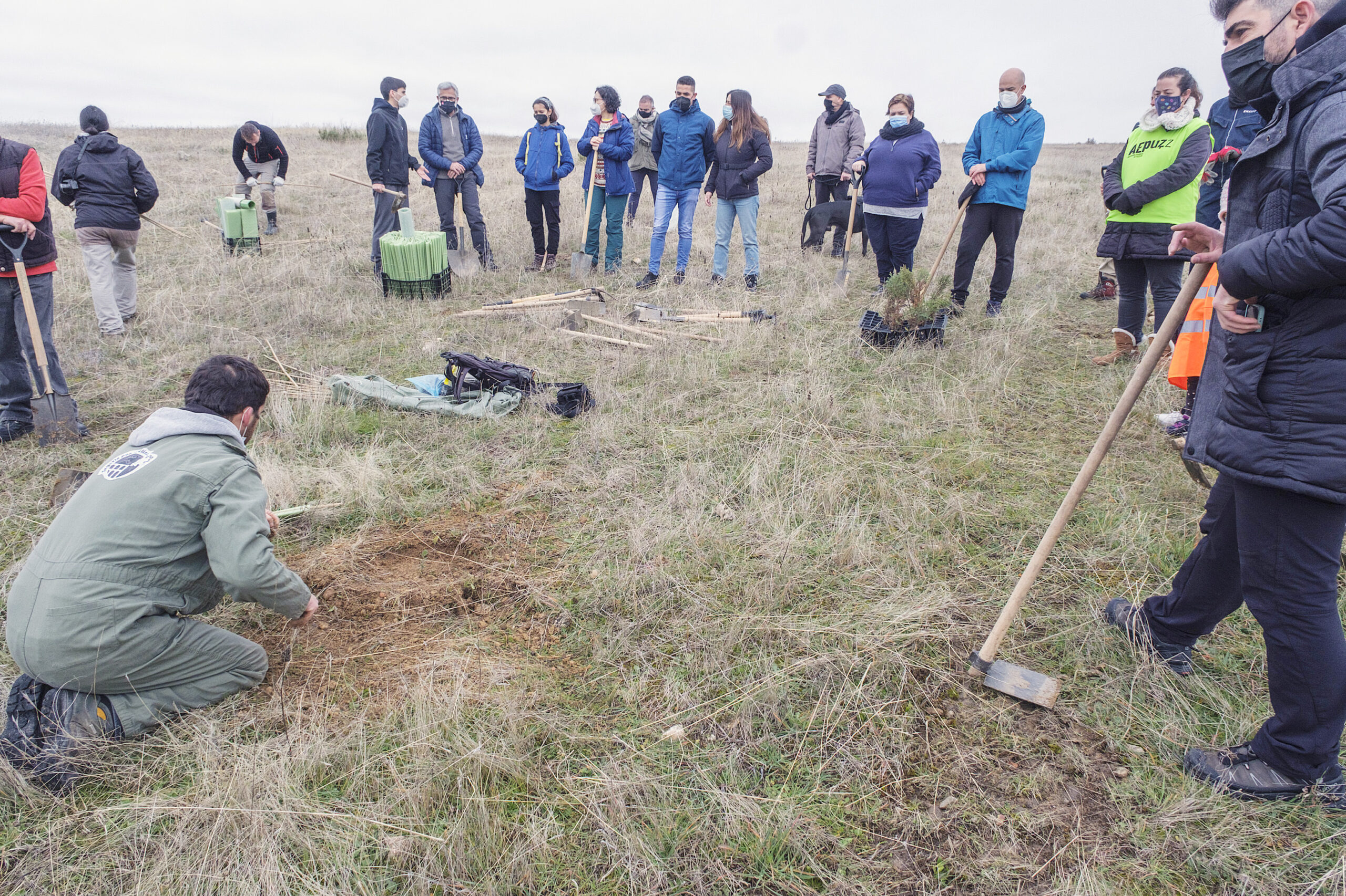 Primera plantación en diciembre de 2021