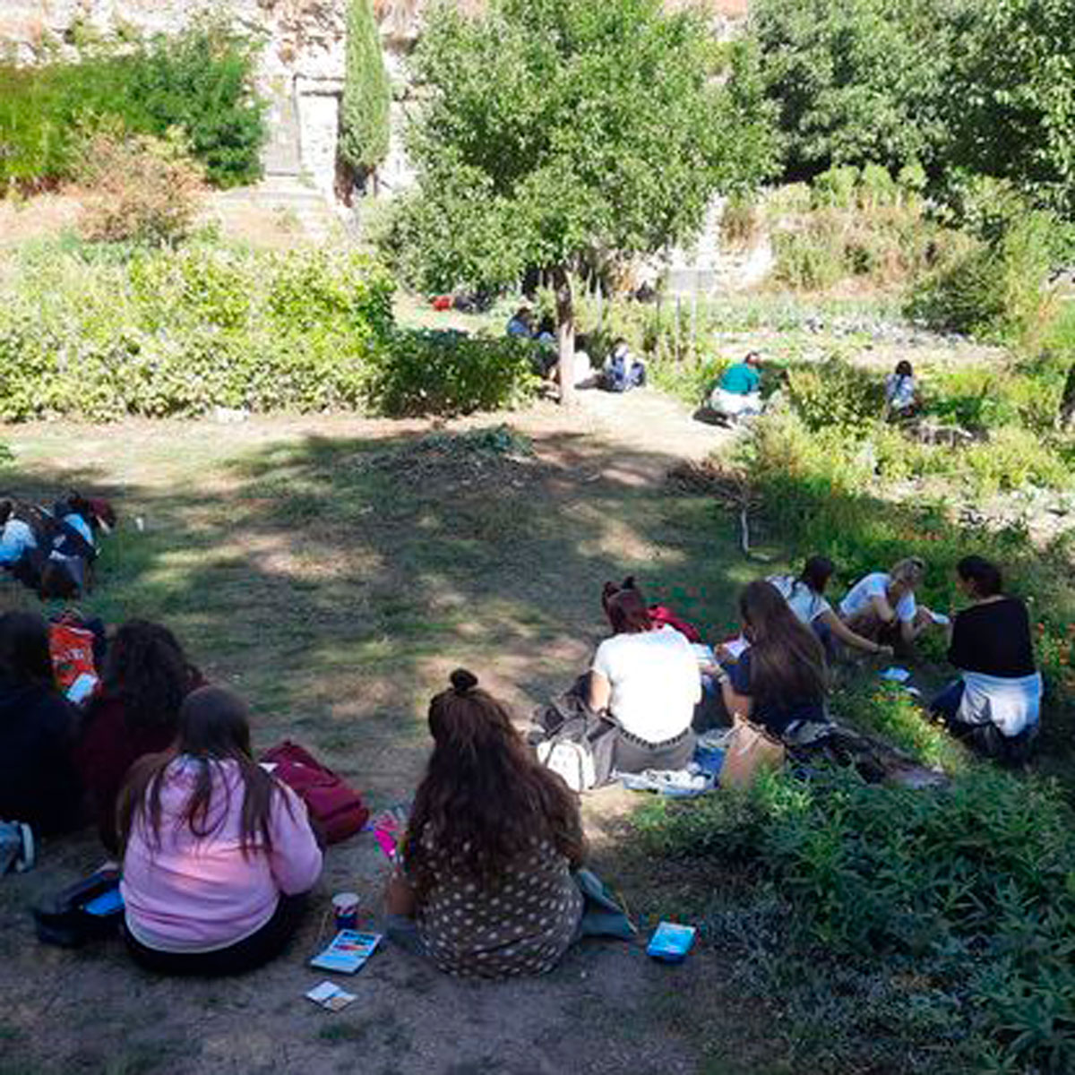 Educacion al aire libre