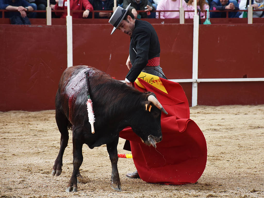 Éxito en el festival taurino de Prádena 1 Finito