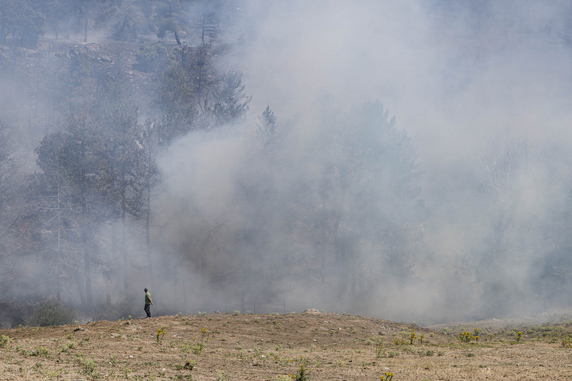 Incendio en La Higuera