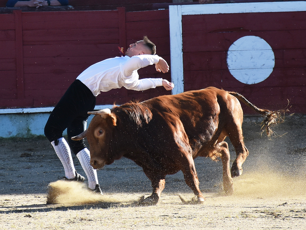 Javier Manso 'Balotelli', durante una exhibición de cortes. / A.M.