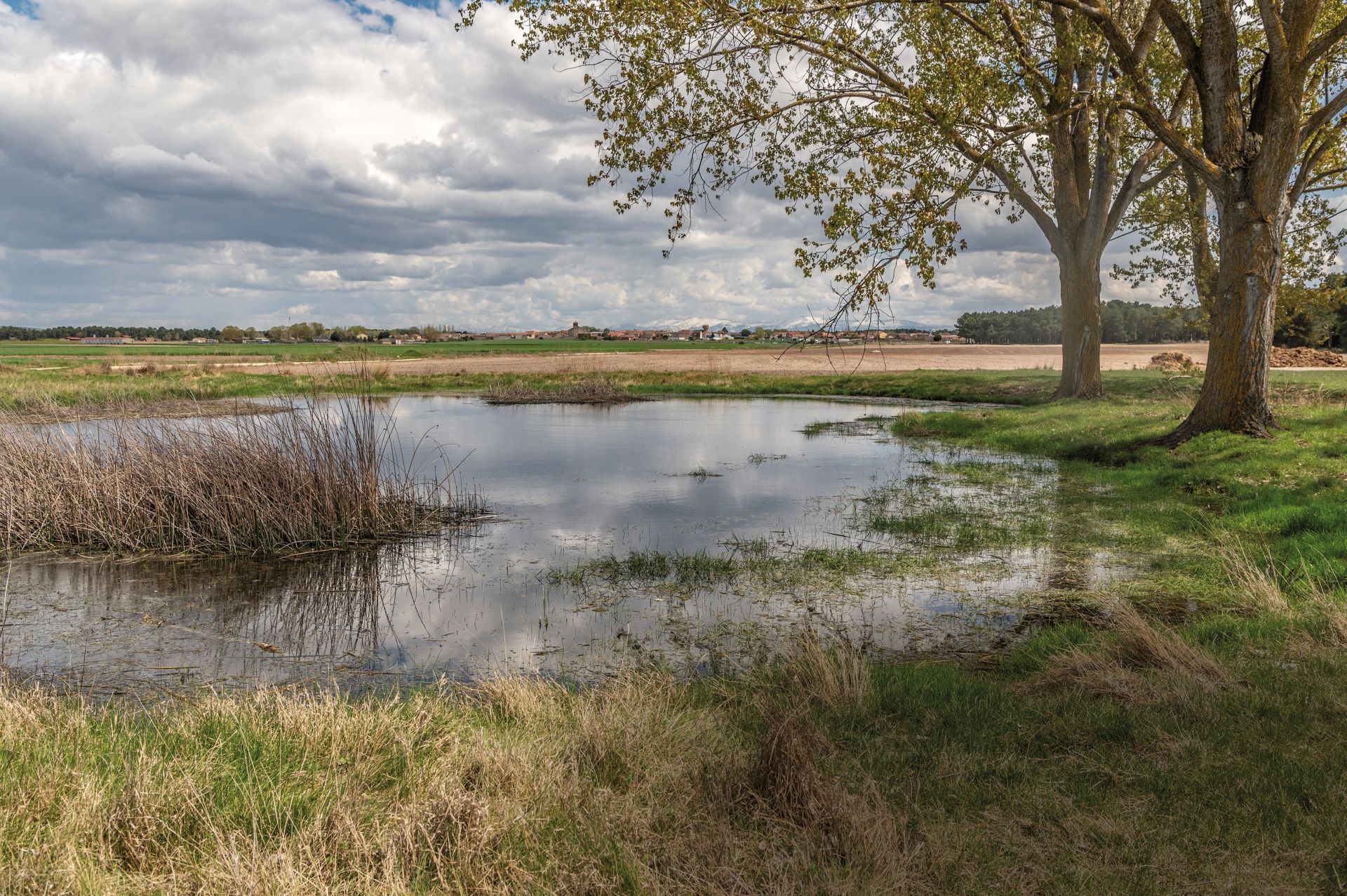Lagunas de Fuenterrebollo. Lagunas de Fuenterrebollo.