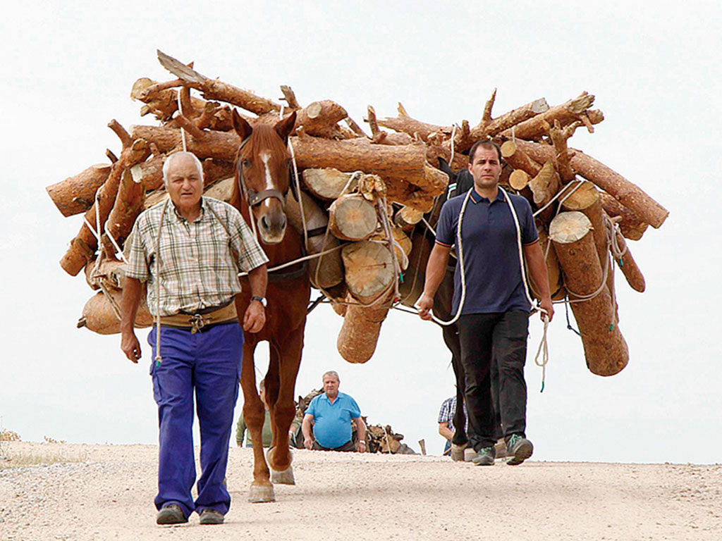 Los arrieros de Sangarcia.
