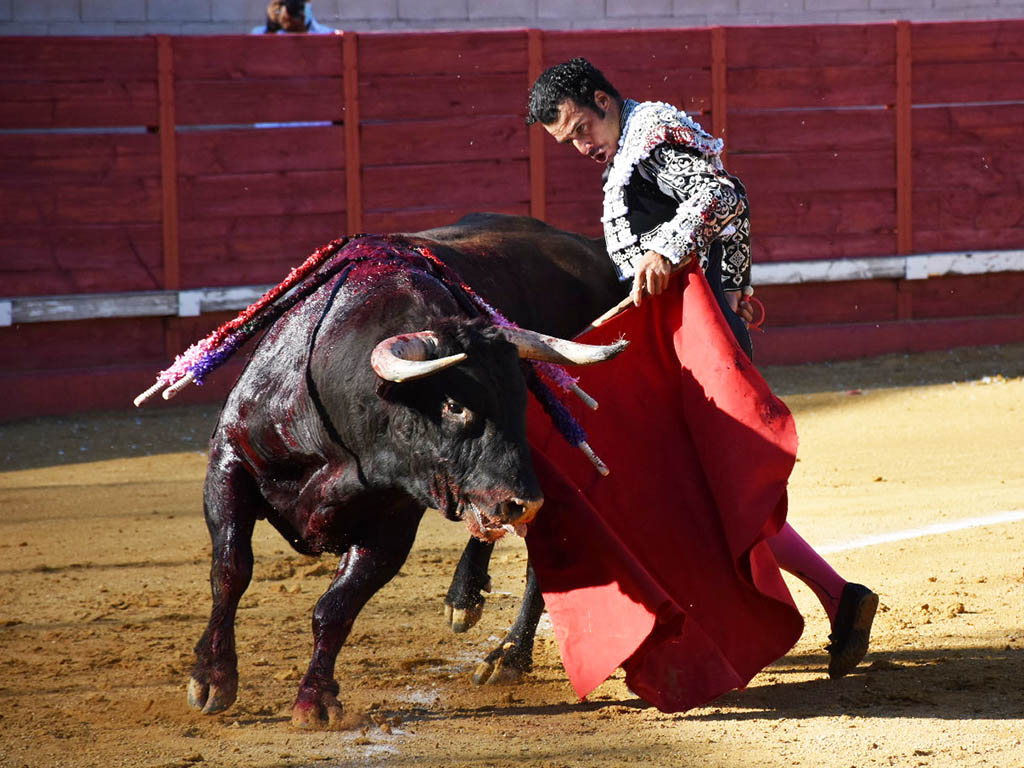 Morenito de Aranda, en Cantalejo con un toro de Domingo Hernández. / A.M.